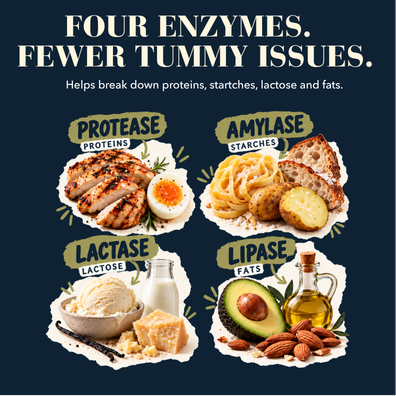 Eat Easy